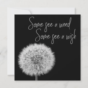 Foto inspiradora de fotos de close-up preto de Dan