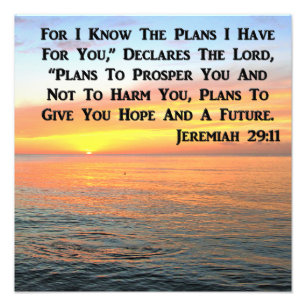 FOTO INSPIRANDO JEREMIAH 29:11 SOL