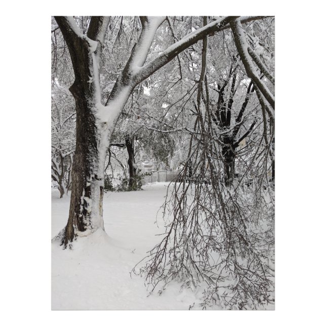 Foto Inverno na Praça Lafayette, Washington, DC (Frente)