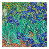 Íris (1889) por Vincent Van Gogh.