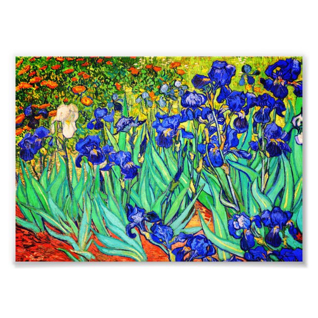 Foto Íris de Vincent Van Gogh (Frente)