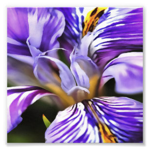 Foto Íris em Lilac Violeta e Arte Botânica Roxa