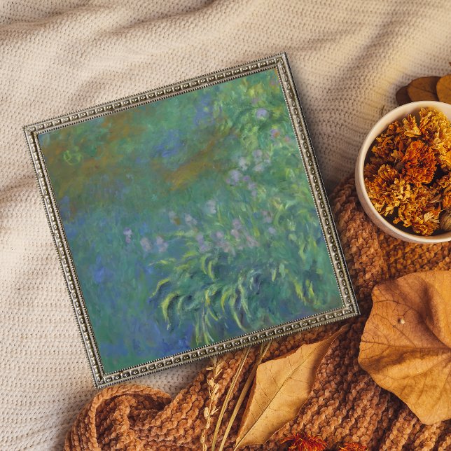 Foto Íris Vibrantes de Monet (Criador carregado)