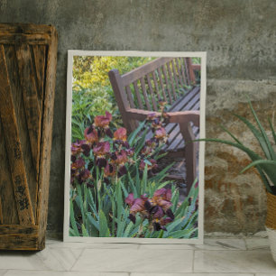 Foto Irises Blooms e Garden Park Bench Floral