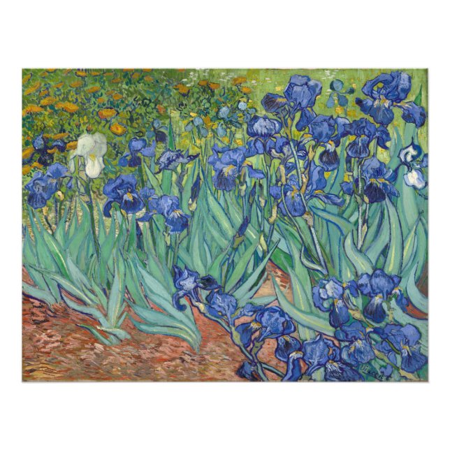 Foto Irises Vincent Van Gogh (Frente)