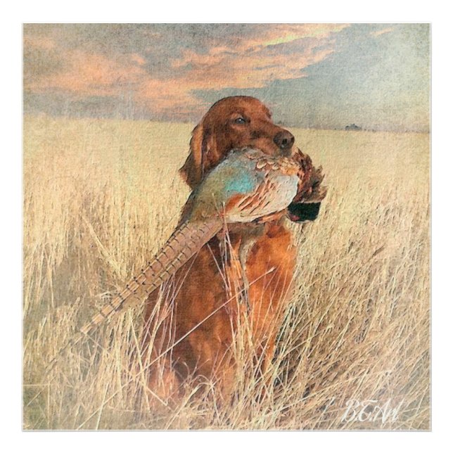 Foto Irish Setter com faisão (Frente)
