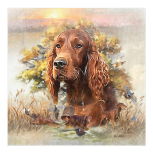 Foto Irish Setter - Ultimate Upland Bird Dog