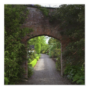 Foto Irlanda, o Castelo Dromoland muito verde