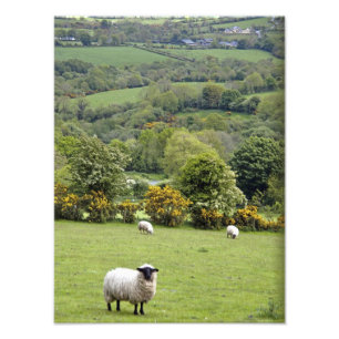 Foto Irlanda Ocidental, Península de Dingle, ampla