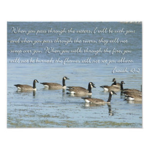 Foto Isaiah 43:2 Verso da Bíblia com Nadador Ganso