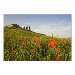 Foto Itália, Toscana, Villa Toscana na Primavera Com