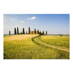Foto Itália, Toscana, Villa Toscana perto da colheita.