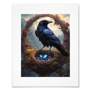 Foto Jackdaw com seu Ninho de Tesouros