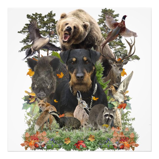 Foto Jagdterrier, Caça alemã Terrier (Frente)