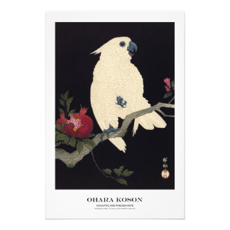 Foto Japanese Art Print - Ohara Koson - Cockatoo