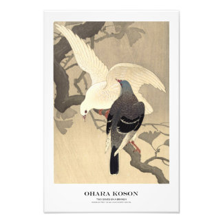 Foto Japanese Art Print - Ohara Koson - Doves