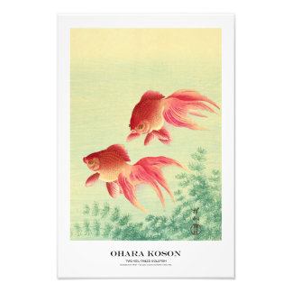 Foto Japanese Art Print - Ohara Koson - Goldfish