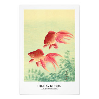 Foto Japanese Art Print - Ohara Koson - Goldfish