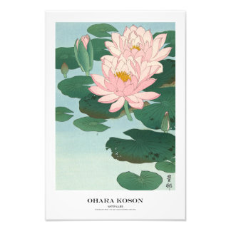 Foto Japanese Art Print - Ohara Koson - Water Lilies