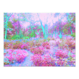 Foto Jardim Abstrato de Rosa Impressionista e Turquesa