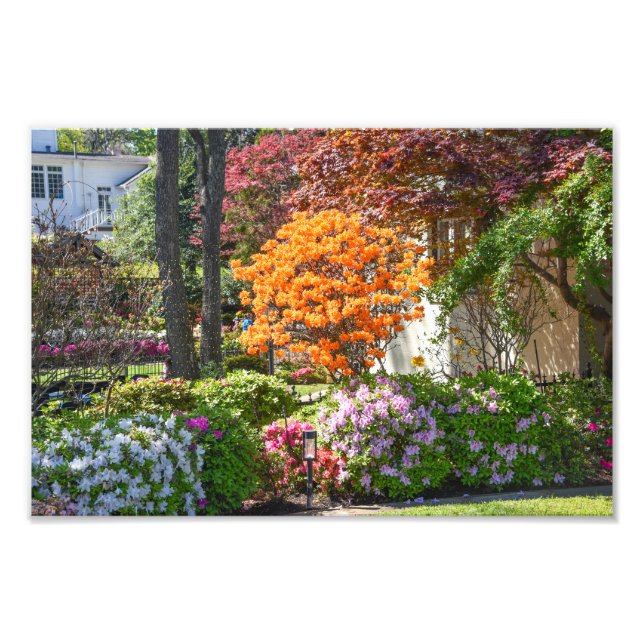 Foto Jardim Azalea Trail em Tyler, Texas (Frente)