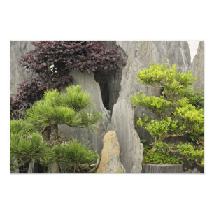 Foto Jardim da família Bao, Huangshan, China. 2