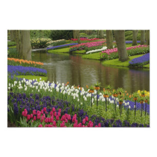 Foto Jardim de tulipas e jacintos, Jardins Keukenhof, 2