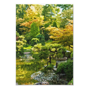 Foto Jardim Japonês