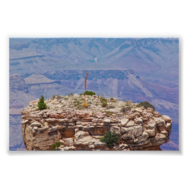 Foto Jardim Superior (Frente)