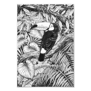 Foto Jardim tropical tucano