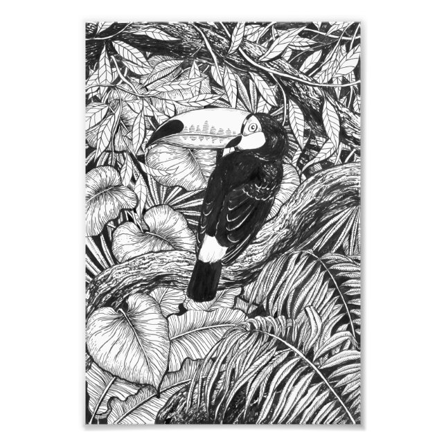 Foto Jardim tropical tucano (Frente)