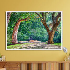 Foto Jardins da fundação Calouste Gulbenkian.