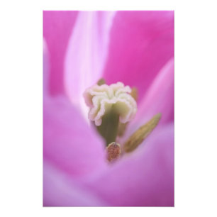 Foto Jardins Keukenhof, Holanda, especializa-se em 3