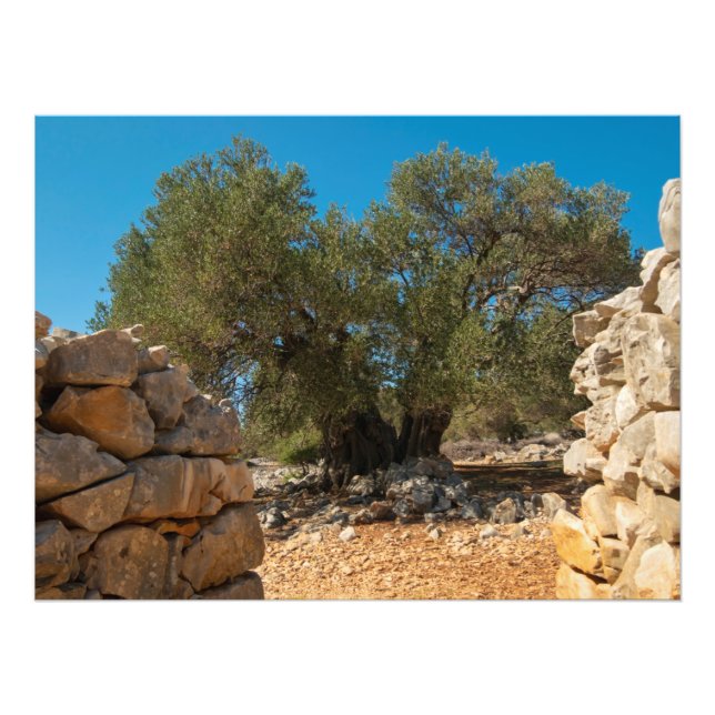 Foto Jardins Olivais de Lun (Frente)