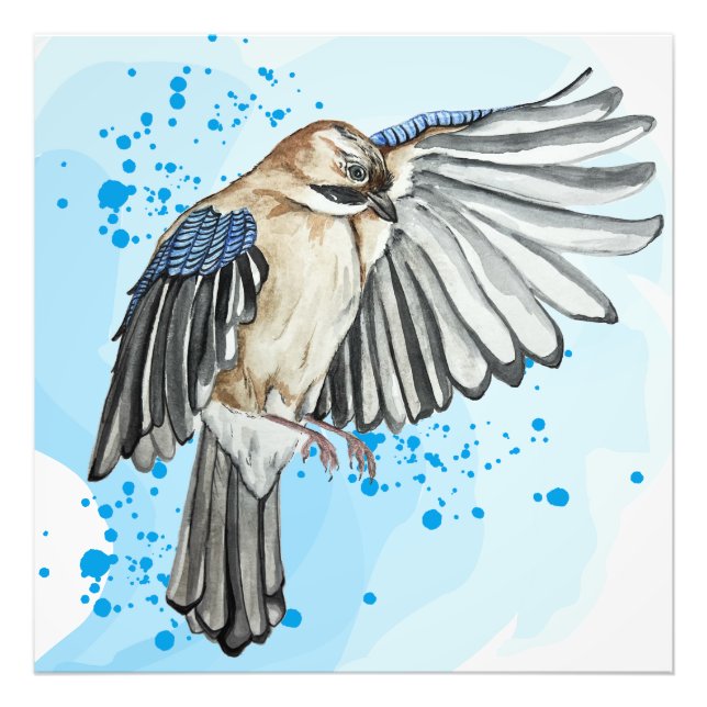 Foto Jay azul-aquarela brilhante (Frente)