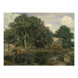 Foto Jean-Baptiste-Camille Corot - Floresta