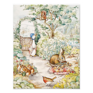 Foto Jemima Puddle Duck no Jardim do Sr. Mc Gregor