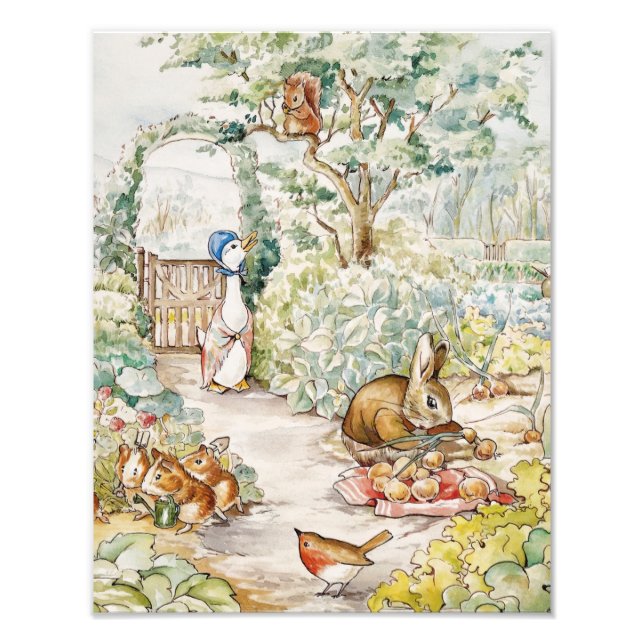 Foto Jemima Puddle Duck no Jardim do Sr. Mc Gregor (Frente)