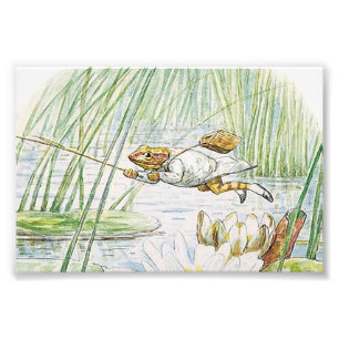 Foto Jeremy Fisher dá um salto Excelente em Beatrix Pot