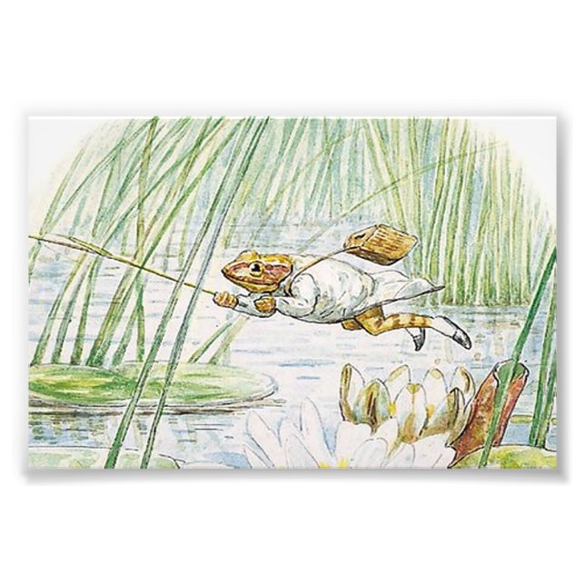 Foto Jeremy Fisher dá um salto Excelente em Beatrix Pot (Frente)