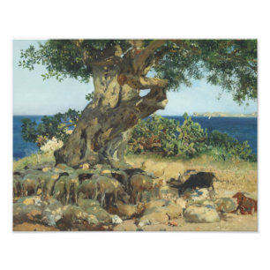 Foto Joaquin Sorolla - a árvore de alfarroba