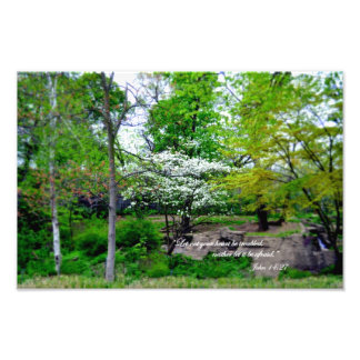 Foto John 14:27 Não se preocupe!