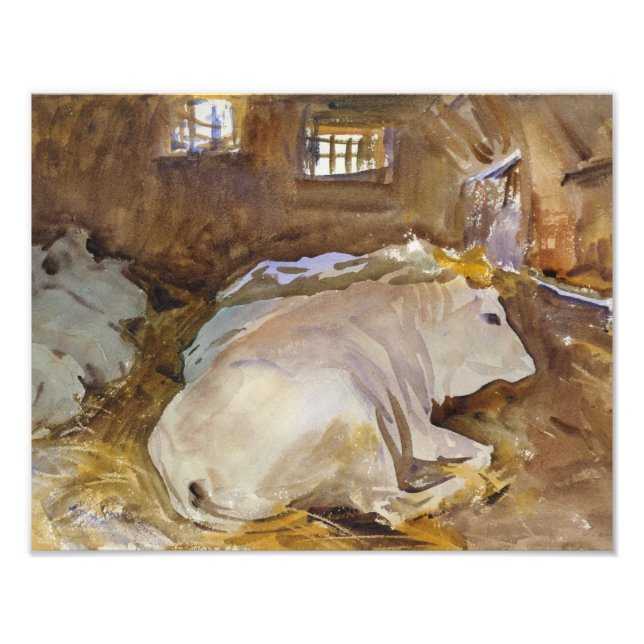 Foto John Singer Sargent - Oxen (Frente)