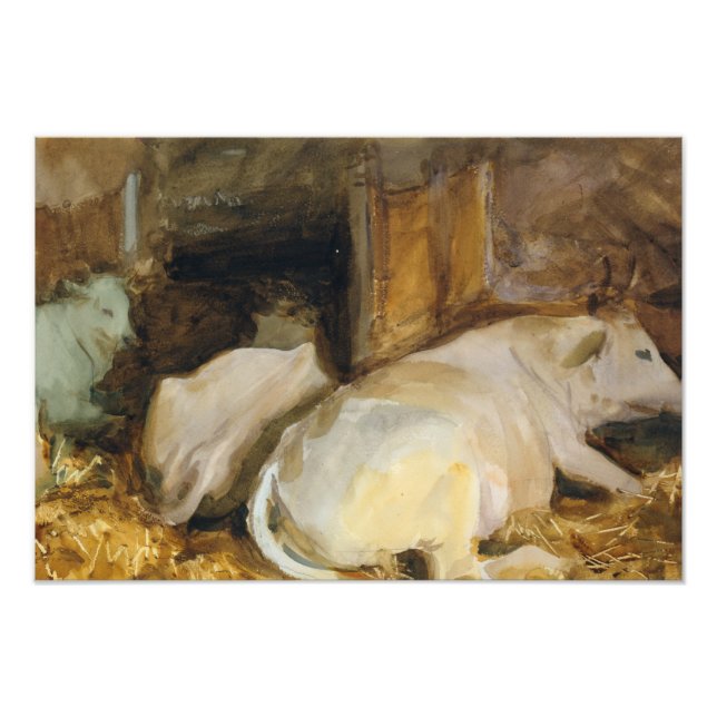 Foto John Singer Sargent - Três Oxen (Frente)