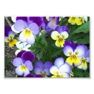 Foto Johnny salta para cima