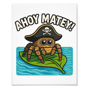 Foto Jumping Pirate Spider Adventure Capitão Webbeard