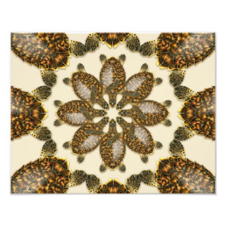 Foto Kaleidoscópico Hawksbill Sea Turtle 14" x 11" Impr
