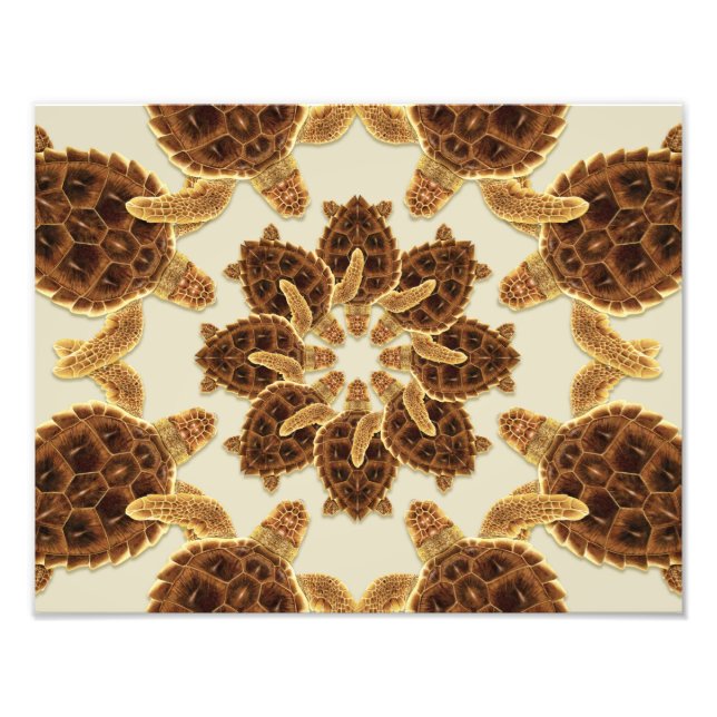 Foto Kaleidoscópio Lagosta Impressão (Frente)