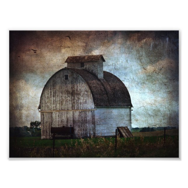 Foto Kalona, Iowa Celeiro Branco Com Pássaros (Frente)