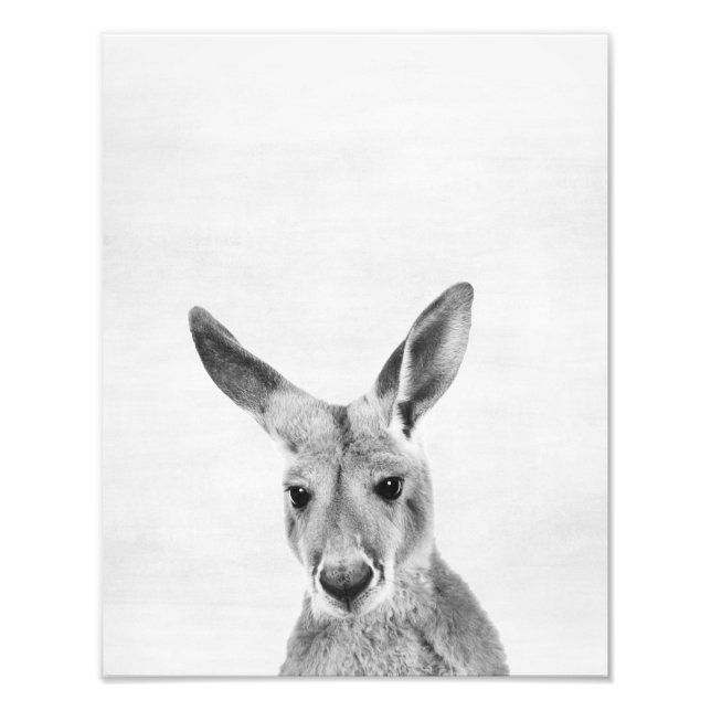 Foto Kangaroo (Frente)